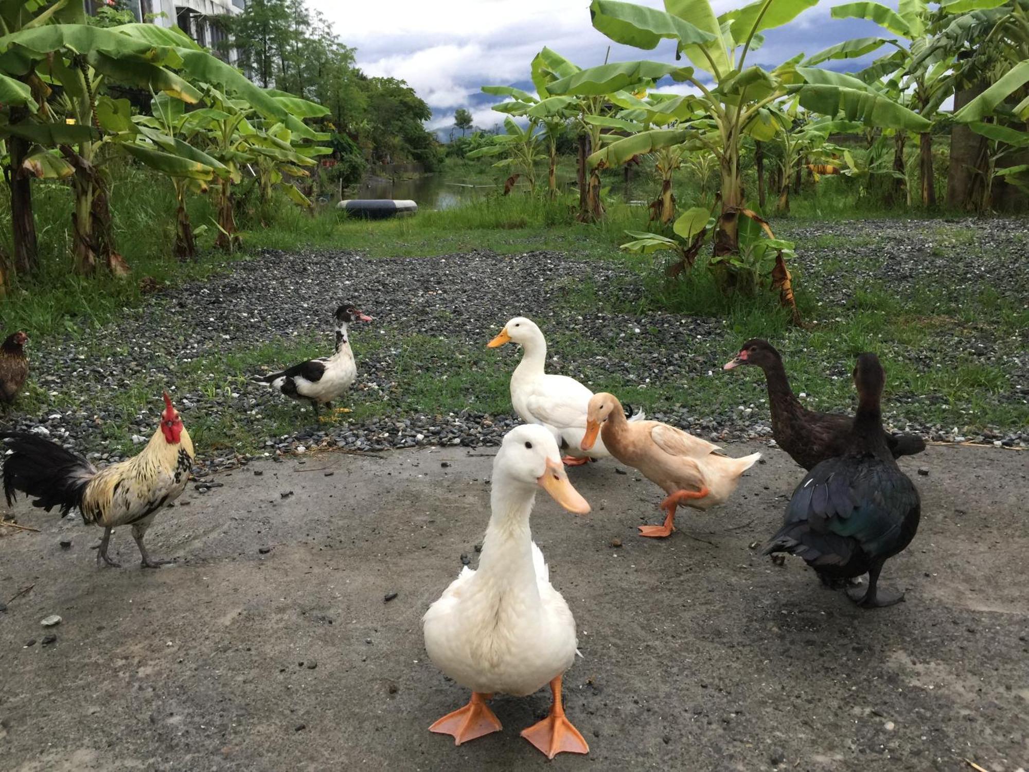 Beautiful Yilan Resort Dongshan  Buitenkant foto
