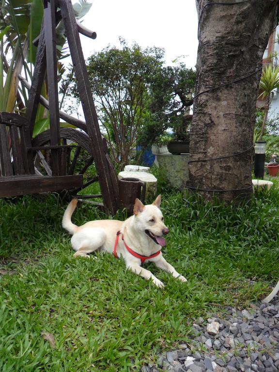 Beautiful Yilan Resort Dongshan  Buitenkant foto