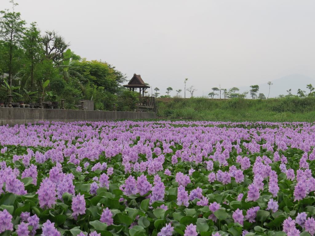 Beautiful Yilan Resort Dongshan  Buitenkant foto