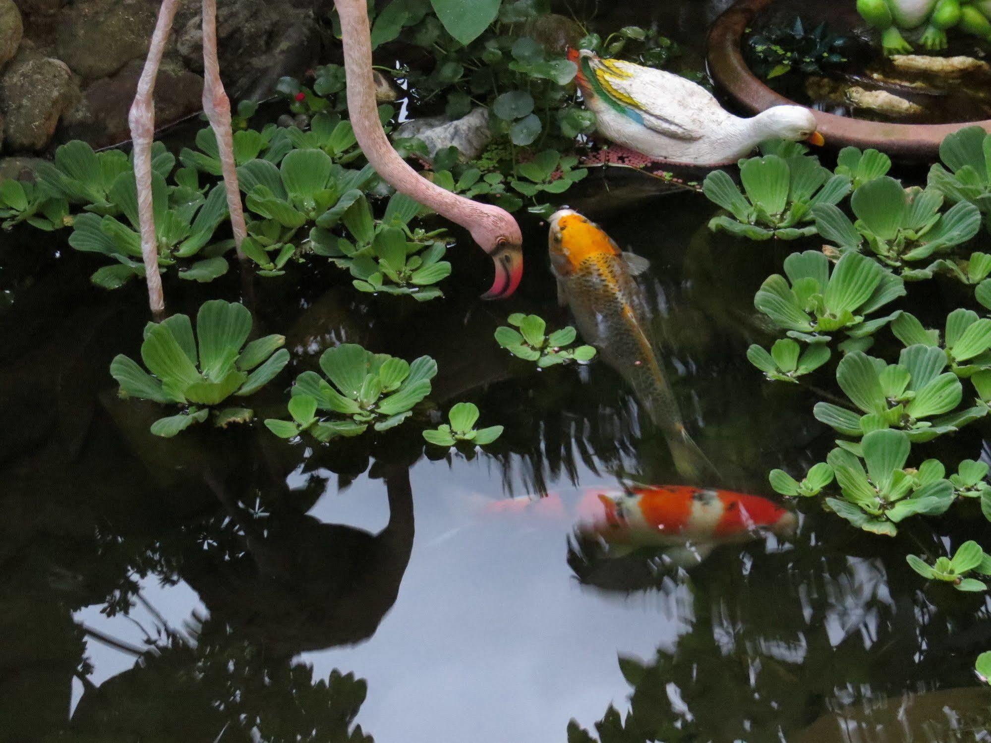 Beautiful Yilan Resort Dongshan  Buitenkant foto